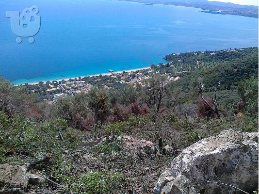 ΜΠΑΡΜΠΑΤΙ ΚΕΡΚΥΡΑ ΚΤΗΜΑ..